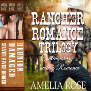 Rancher Romance Trilogy-logo