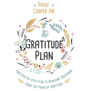 The Gratitude Plan: Your Step By Step Plan To Achieving Greatness Using The Power Of Gratitude