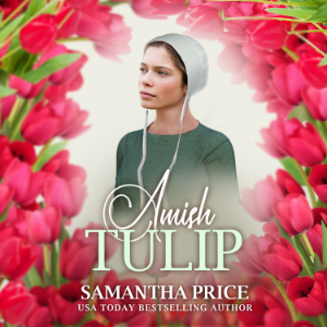 Amish Tulip