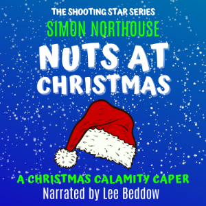 Nuts At Christmas-logo