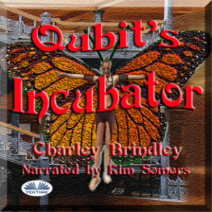 Qubit's Incubator
