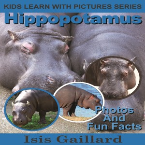 Hippopotamus-logo