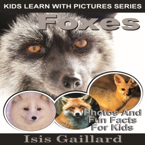 Foxes-logo