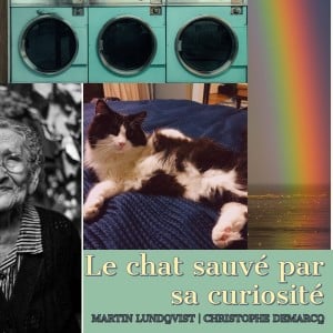 Le chat sauvé par sa curiosité-logo