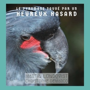 Le pyromane sauvé par un heureux hasard-logo