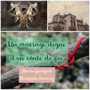 Un mariage digne d'un conte de fée-logo