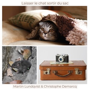Laisser le chat sortir du sac-logo