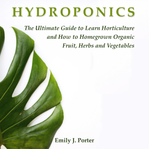 Hydroponics-logo