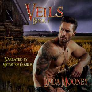 Veils, Book 1-logo
