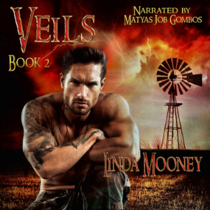 Veils, Book 2-logo