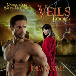 Veils, Book 3-logo