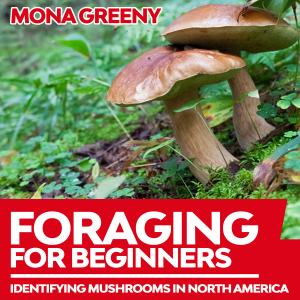 Foraging For Beginners