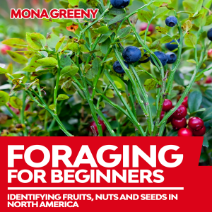 Foraging For Beginners-logo