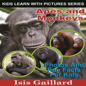 Apes and Monkeys