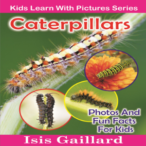 Caterpillars-logo