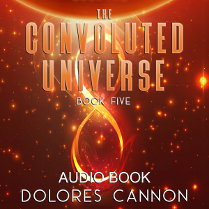 The Convoluted Universe, Book Five-logo