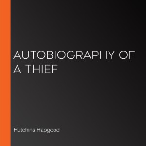 Autobiography of a Thief