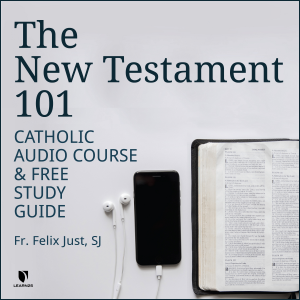 The New Testament 101-logo