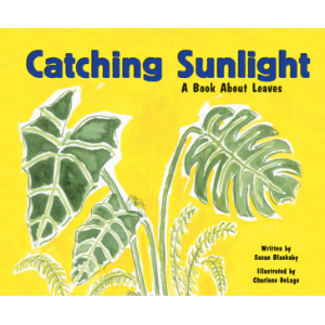 Catching Sunlight-logo