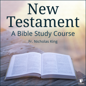 New Testament: A Bible Study Course-logo