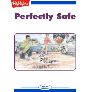 Perfectly Safe