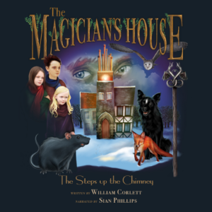 Magician's House, The: Steps Up the Chimney