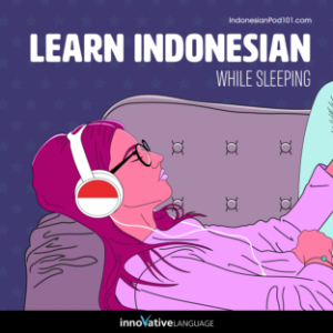 Learn Indonesian While Sleeping-logo