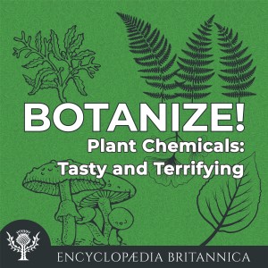 Plant Chemicals: Tasty and Terrifying-logo