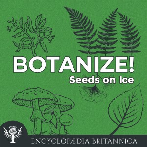 Seeds on Ice-logo