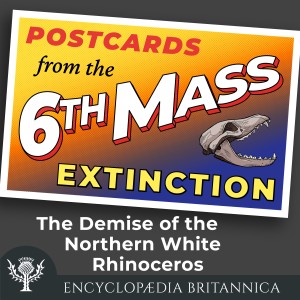 The Demise of the Northern White Rhinoceros-logo