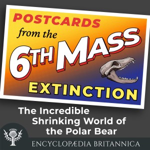 The Incredible Shrinking World of the Polar Bear-logo