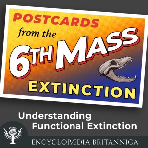 Understanding Functional Extinction-logo