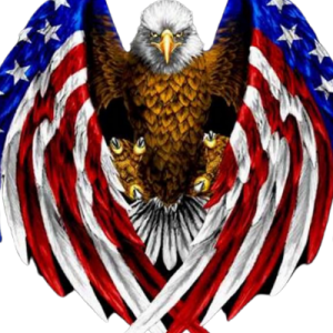 Patriot Underground