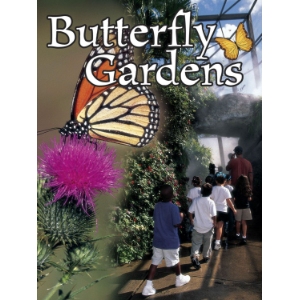 Butterfly Gardens