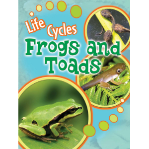 Frogs and Toads