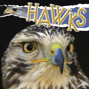 Hawks-logo
