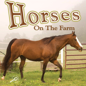 Horses on the Farm