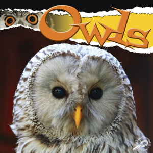 Owls