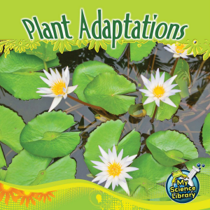 Plant Adaptations-logo