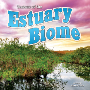 Seasons Of The Estuary Biome