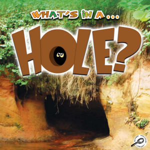 What's In A Hole?-logo
