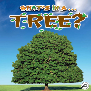 What's In A Tree?