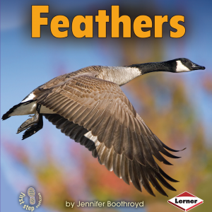 Feathers-logo