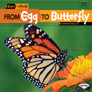 From Egg to Butterfly-logo