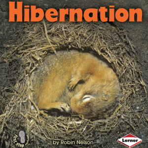 Hibernation