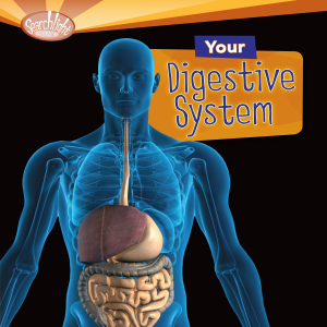 Your Digestive System-logo