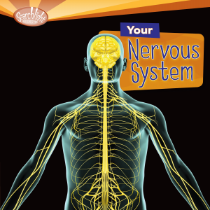 Your Nervous System-logo