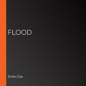 Flood