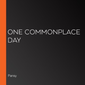One Commonplace Day