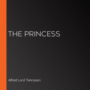 The Princess (Librovox)
